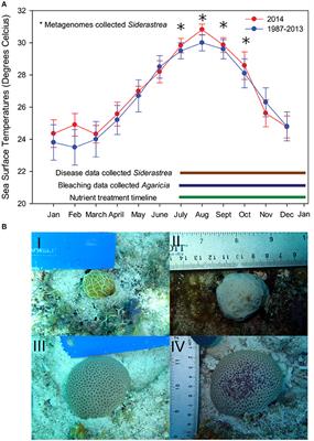 Corals and Their Microbiomes Are Differentially Affected by Exposure to Elevated Nutrients and a Natural Thermal Anomaly